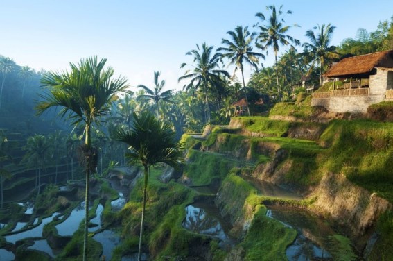 bali indonesia